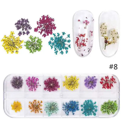 12Grid-3D Dried Flower For Nail Charms Natural Floral Sticker Mix Dry Flower DIY Colorful Decals UV Gel Polish Nail Art Manicure