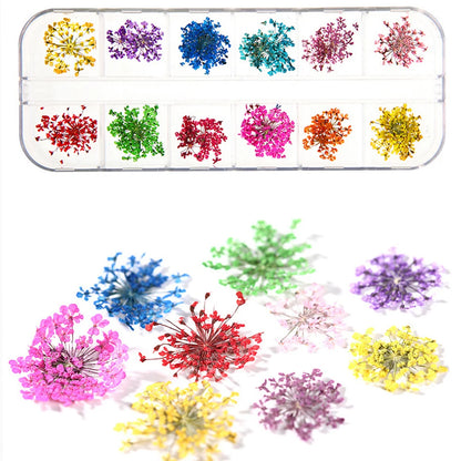 12Grid-3D Dried Flower For Nail Charms Natural Floral Sticker Mix Dry Flower DIY Colorful Decals UV Gel Polish Nail Art Manicure