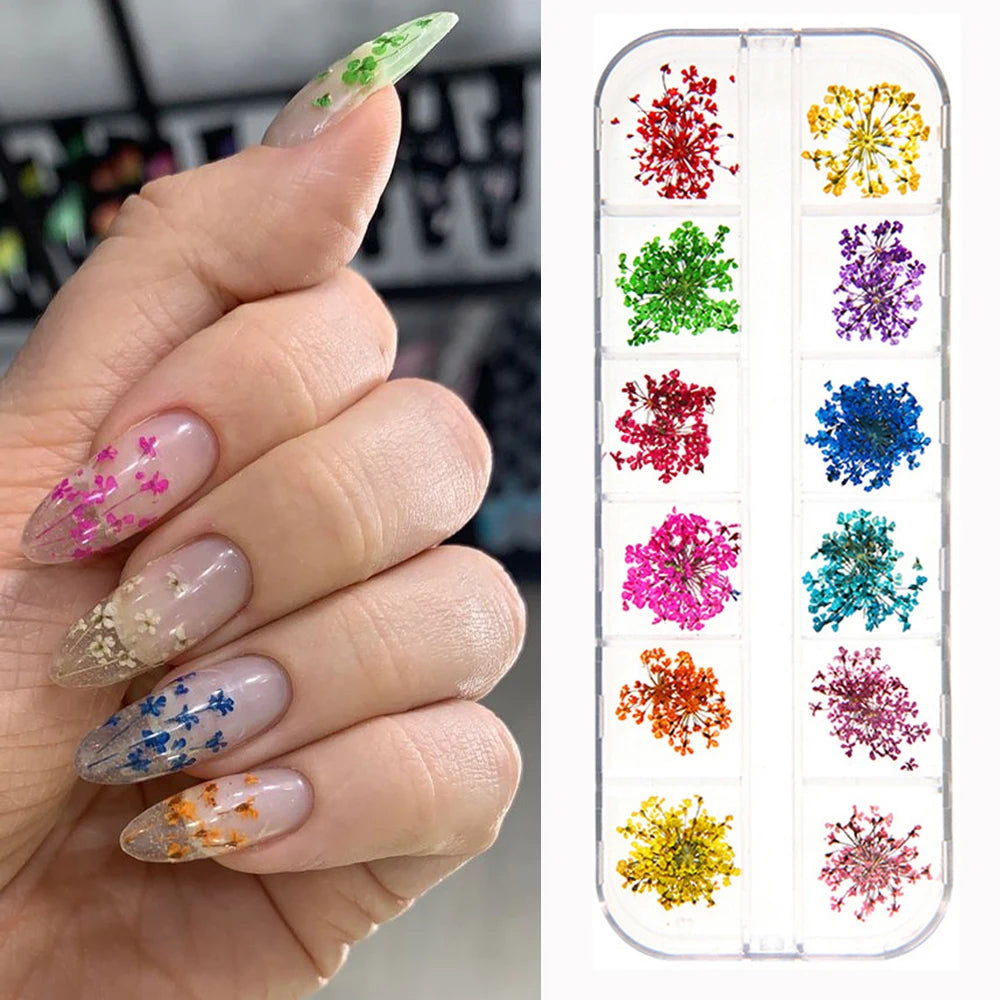 12Grid-3D Dried Flower For Nail Charms Natural Floral Sticker Mix Dry Flower DIY Colorful Decals UV Gel Polish Nail Art Manicure