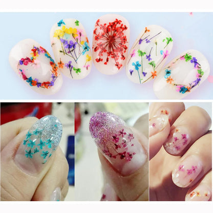 12Grid-3D Dried Flower For Nail Charms Natural Floral Sticker Mix Dry Flower DIY Colorful Decals UV Gel Polish Nail Art Manicure